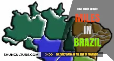 Exploring Brazil's Vastness: Square Miles of South America's Giant