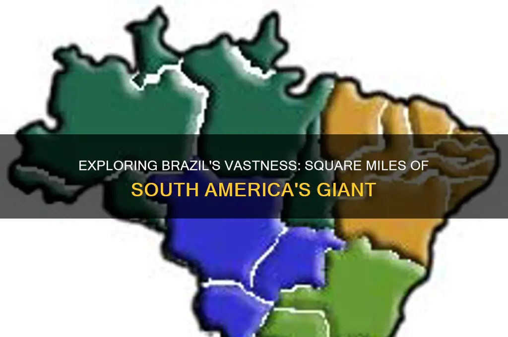 how many square miles in brazil