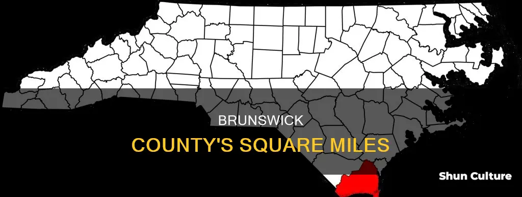 how many square miles in brunswick co
