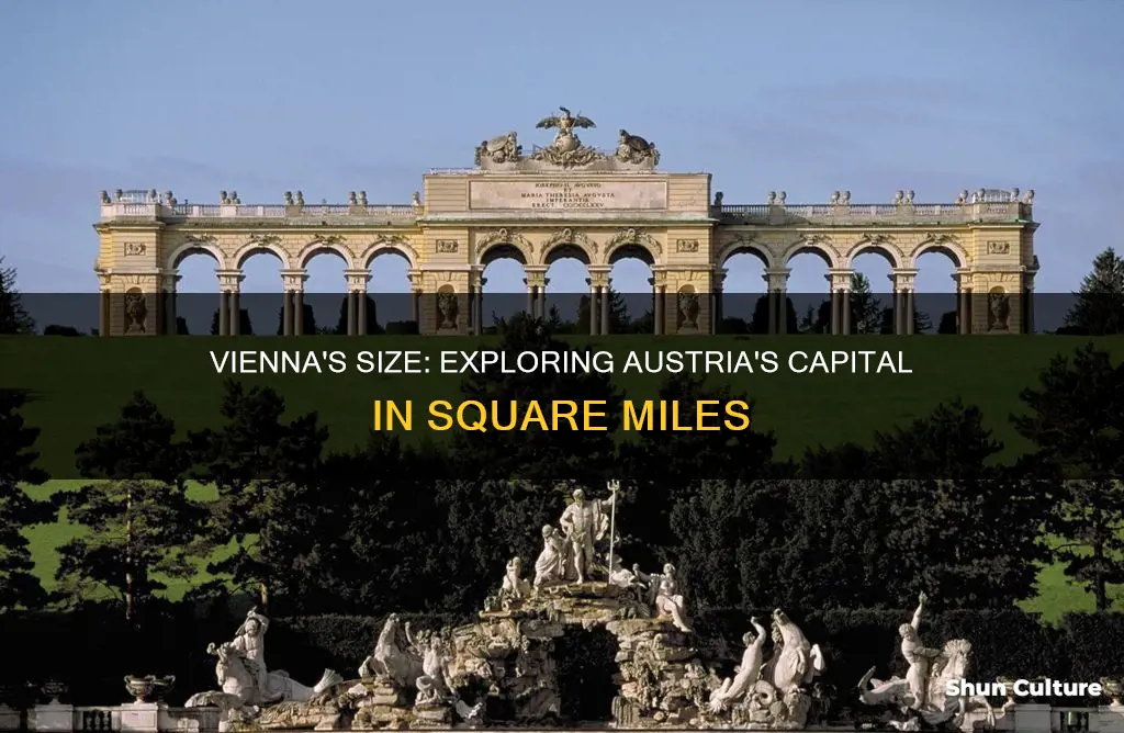 how many square miles in vienna austria