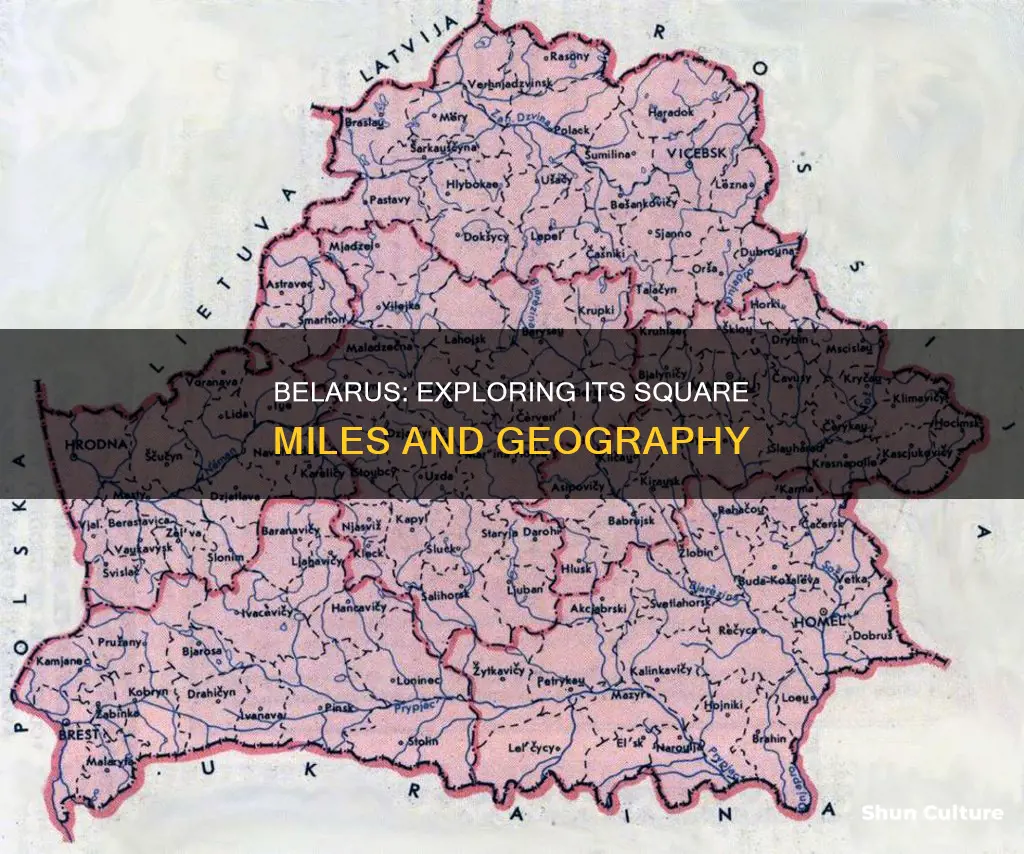 how many square miles is belarus