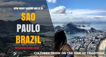 Exploring São Paulo's Size: Square Miles of Brazil's Largest City