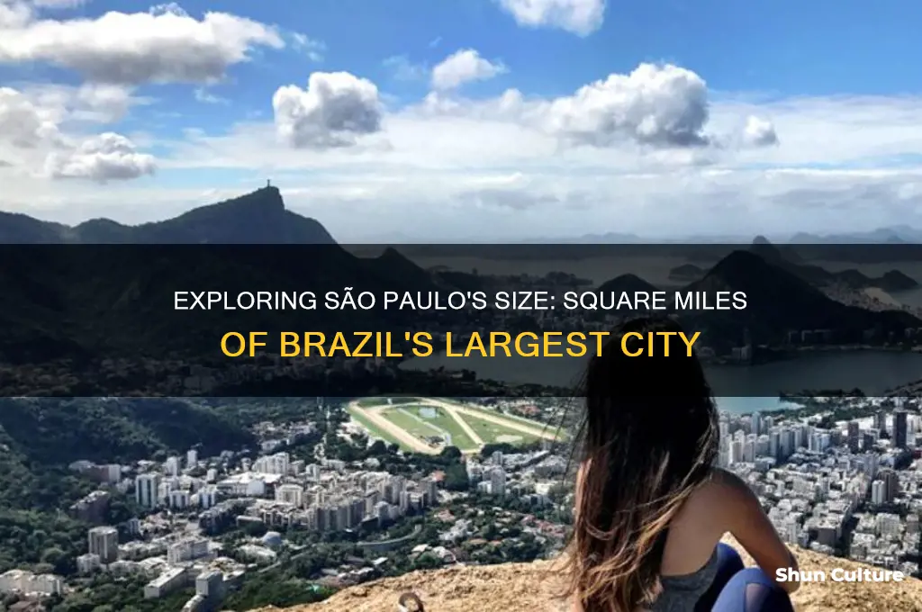 how many square miles is sao paulo brazil