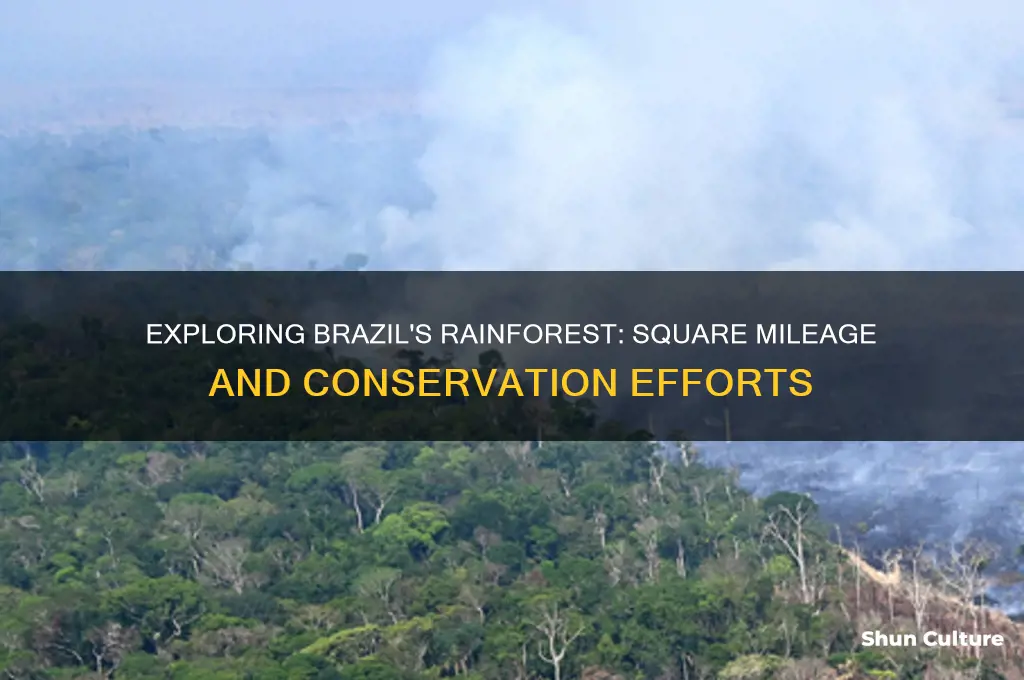 how many square miles of rainforest in brazil