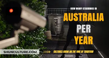 Annual Stabbing Incidents in Australia: Trends and Statistics Revealed