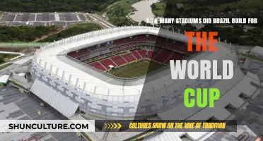 Brazil's World Cup Legacy: Stadiums Built for the Tournament