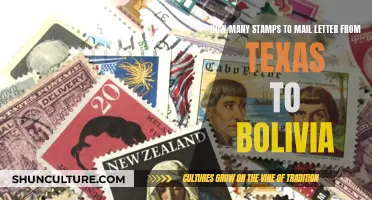 Stamping it Right: Texas to Bolivia Mail Costs