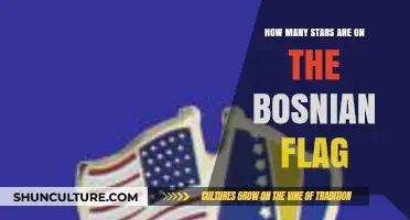 Exploring the Bosnian Flag: Unveiling the Meaning Behind Its Stars