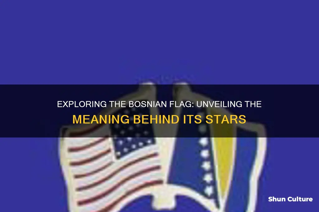 how many stars are on the bosnian flag