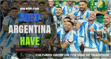 Exploring the Stellar Achievements of Argentina's National Soccer Team