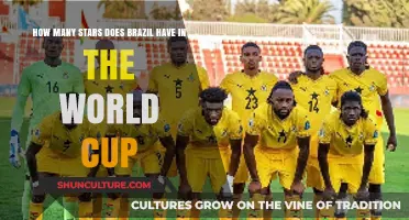 Brazil's World Cup Legacy: Counting the Stars on Their Jersey