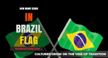 Exploring the Celestial Symbolism of Stars on Brazil's National Flag