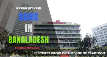 Exploring Bangladesh's State-Owned Banking Sector: A Comprehensive Count