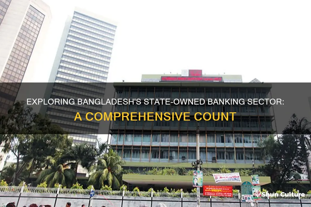 how many state owned bank in bangladesh