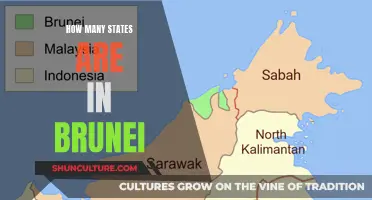 Exploring the Unique Divisions of Brunei: How Many?