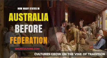 Federation's Impact: Australia's State Transformations