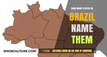 Discovering Brazil's 26 States: A Complete List and Overview