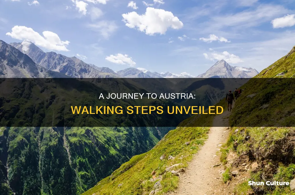 how many steps would it take to walk to austria