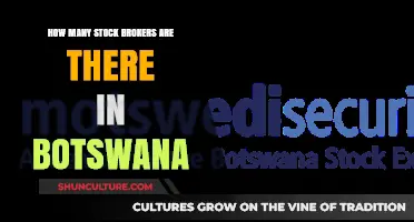 Exploring Botswana's Stock Brokerage: A Comprehensive Count and Overview