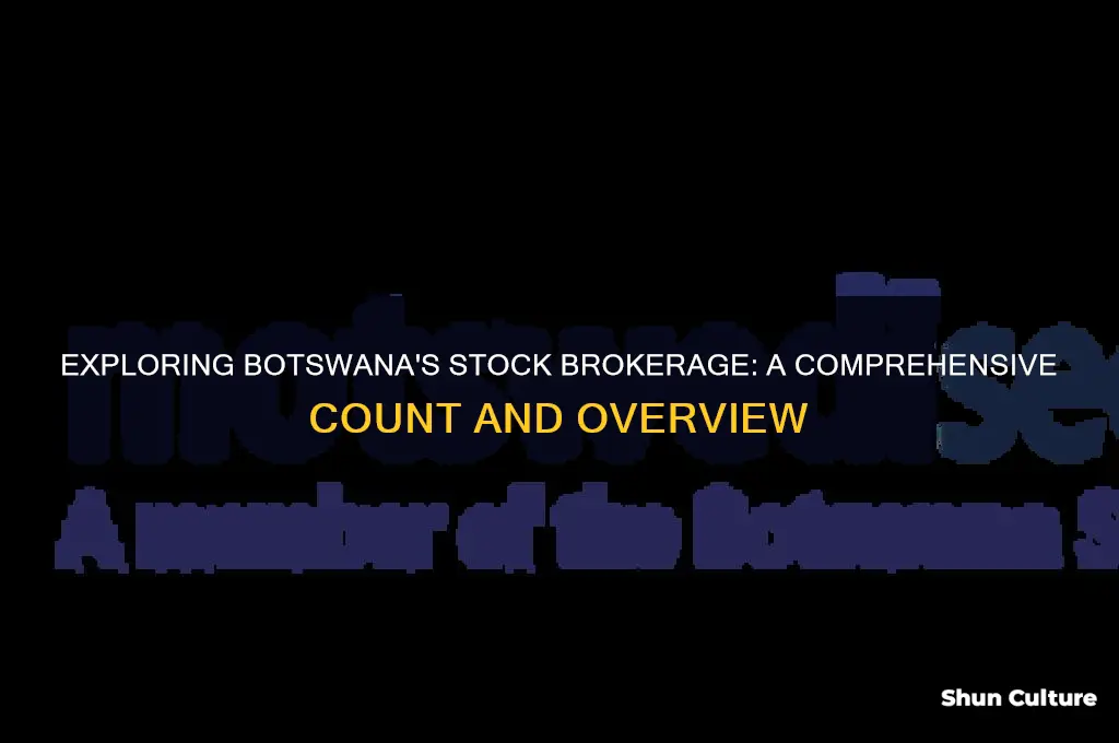 how many stock brokers are there in botswana