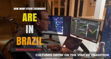Exploring Brazil's Stock Exchanges: A Comprehensive Count and Overview