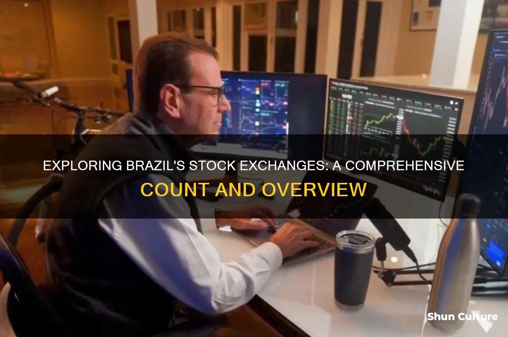 how many stock exchanges are in brazil