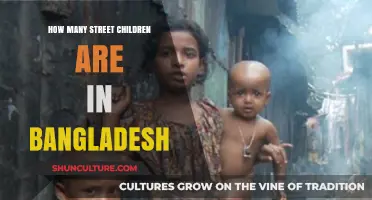 Addressing Bangladesh's Street Children Crisis: Understanding the Growing Population