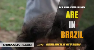 Brazil's Street Children Crisis: Understanding the Scale and Impact
