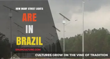Brazil's Street Lights: Counting the Glow Across the Nation