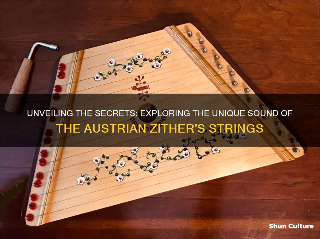 how many strings on austrian zither