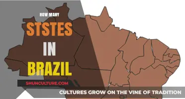 Exploring Brazil's Unique Federal Structure: How Many States Does It Have?