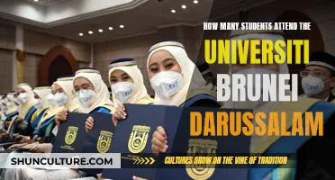 Exploring Universiti Brunei Darussalam's Student Population