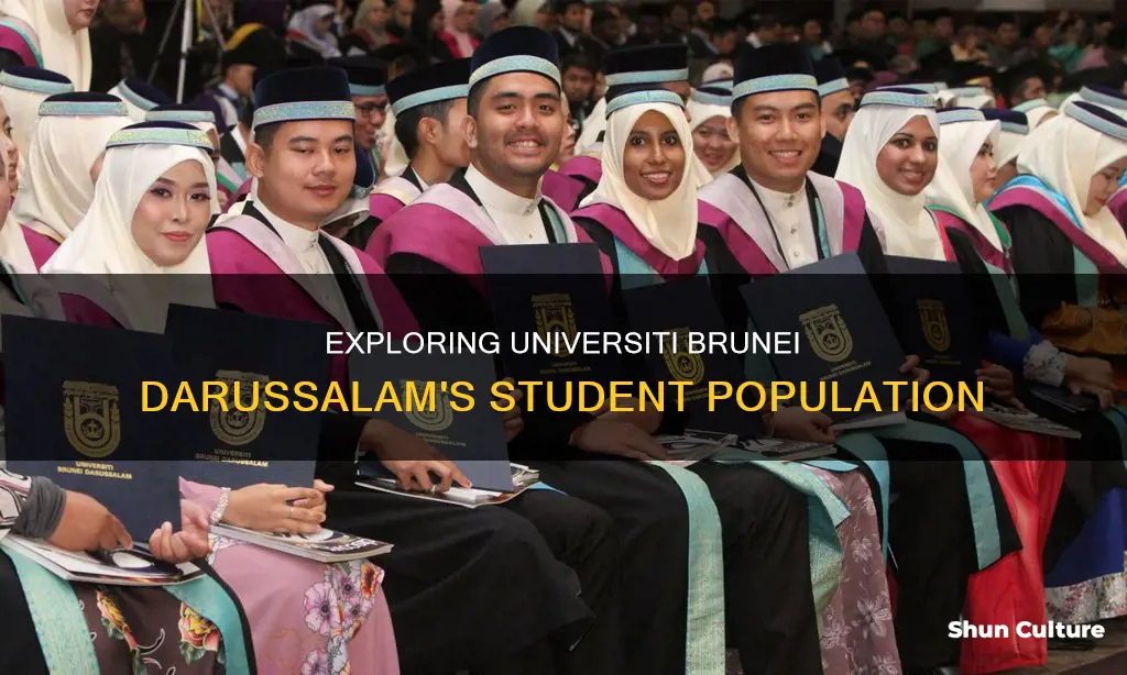 how many students attend the universiti brunei darussalam