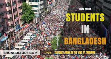 Exploring Bangladesh's Student Population: Numbers, Trends, and Insights