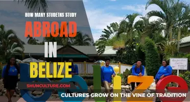 Exploring Education Abroad: Unveiling the Number of Students Studying in Belize