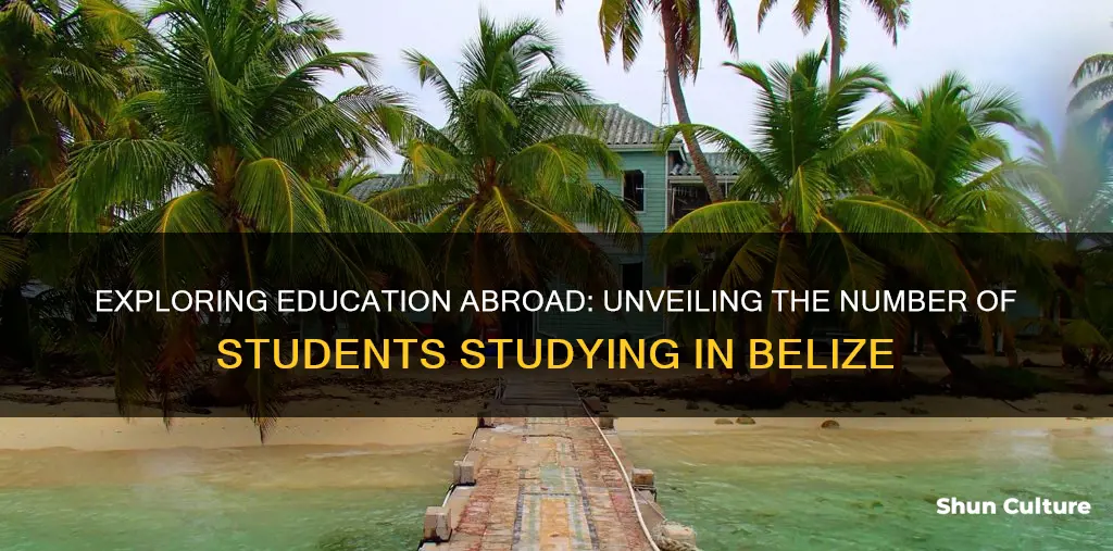 how many studetns study abroad in belize