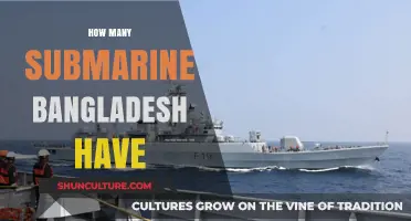 Bangladesh's Submarine Fleet: Current Strength and Strategic Capabilities