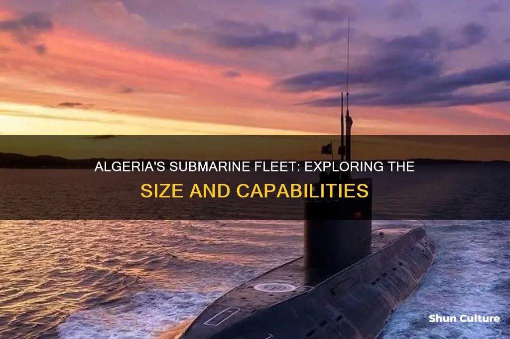 how many submarines does algeria have