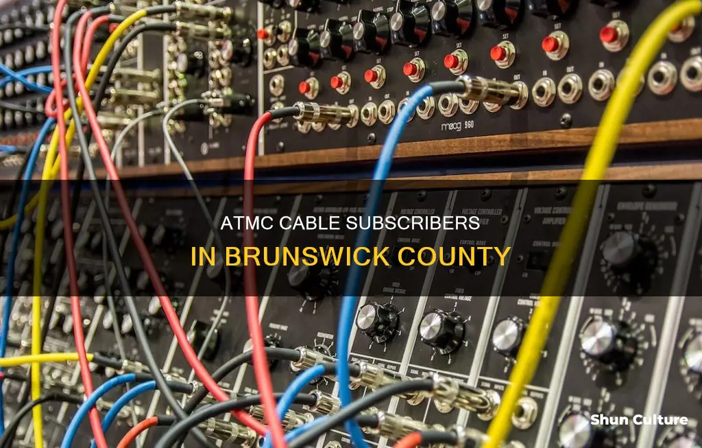 how many subscribers does atmc cable have in brunswick county