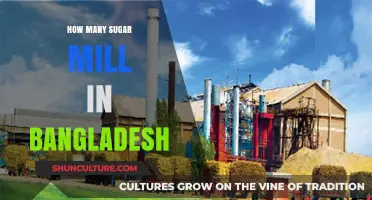 Exploring Bangladesh's Sugar Industry: Mill Count and Production Insights