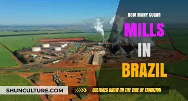 Brazil's Sugar Mills: Unveiling the Vast Network of Sweet Production