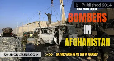 Deadly Trends: Examining the Prevalence of Suicide Bombers in Afghanistan