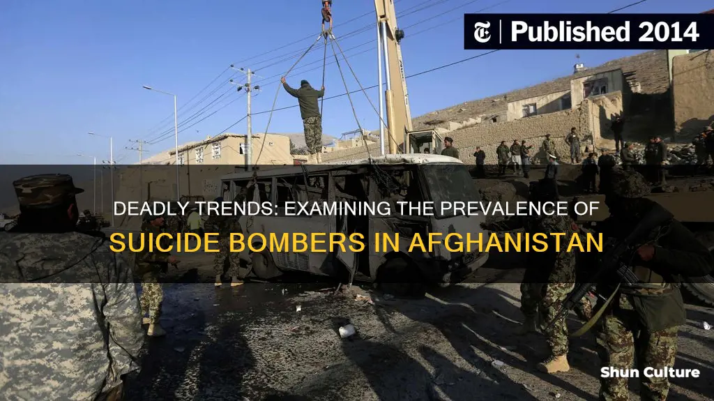 how many suicide bombers in afghanistan