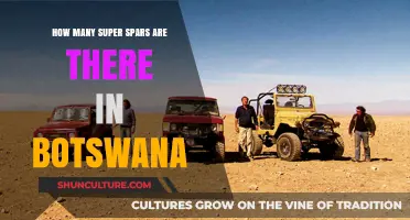 Exploring Botswana's Super Spar Count: A Comprehensive Retail Overview