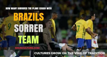 Surviving the Tragedy: Brazil's Soccer Team Plane Crash Survivors