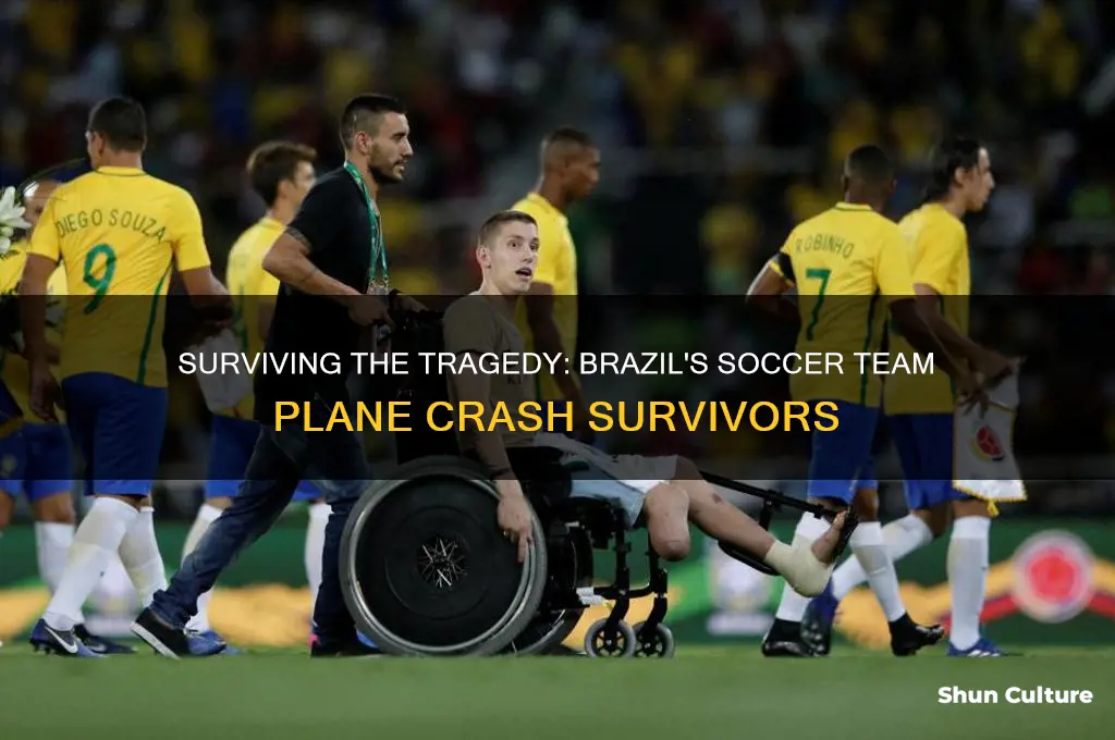 how many survived the plane crash with brazils sorrer team