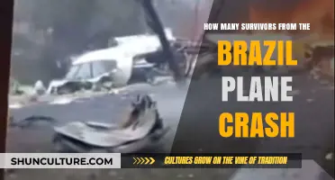 Brazil Plane Crash Survivors: Uncovering the Number of Lives Saved