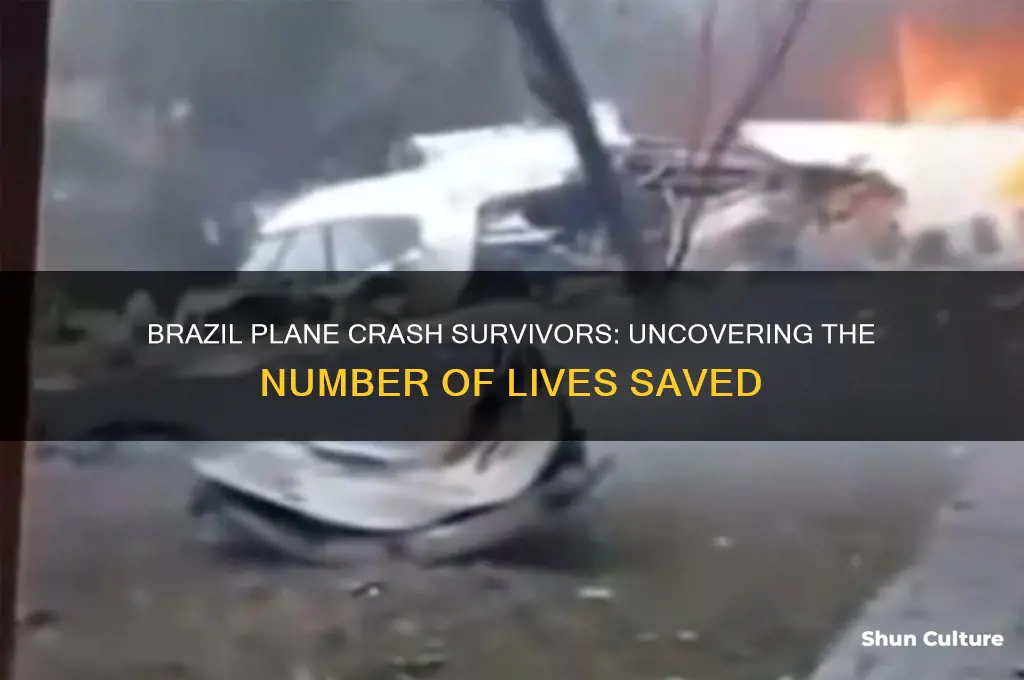 how many survivors from the brazil plane crash