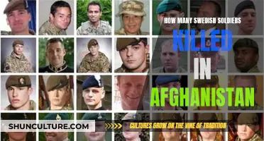 Swedish Sacrifice in Afghanistan: Examining the Human Cost