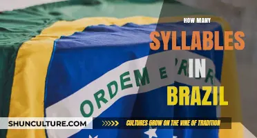 Exploring the Syllable Count in the Word 'Brazil' and Its Pronunciation